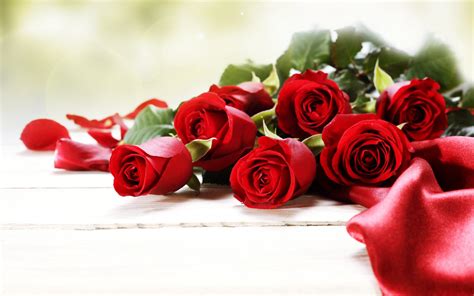 Roses Red Flowers Love Romance Emotions 4you Bouquet Spring Wallpapers Hd Desktop And