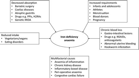 The Effect Of Iron Deficiency And Anaemia On Womens Health Benson