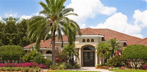 South Tampa Realtors Remax Florida Team Luxury Homes