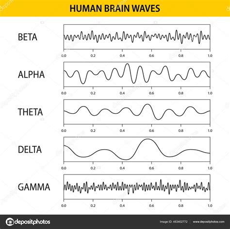 Beta Alpha Theta Delta Gamma Brain Waves Set Of Brain Waves