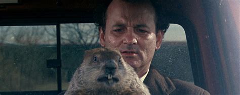 Le Jour De La Marmotte Film Streaming - Un jour sans fin diffusé en boucle pour le jour de la marmotte - Actus