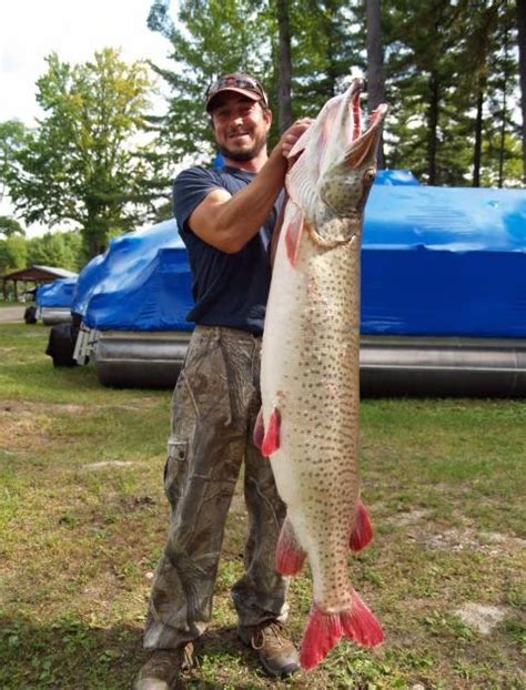 This strange and brilliantly camouflaged creature is allegedly responsible for scaring one teenage angler nearly to death and has got to be one of the flat out weirdest lake cryptids ever chronicled. The retired Professor and now fisherman!: World Record ...