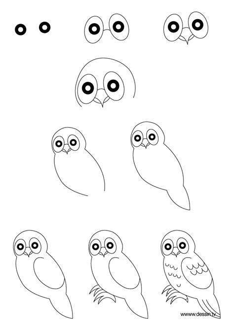 Pics Photos Learn How To Draw A Owl With Simple Step By Step Instructions