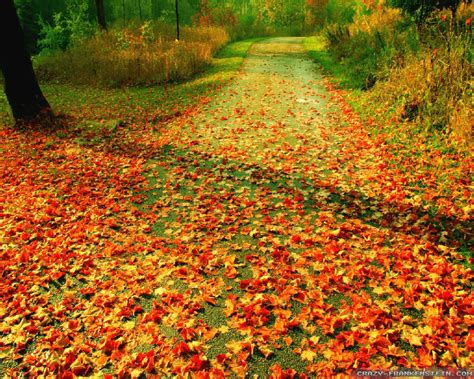 Beautiful Autumn Wallpapers Seasonal Crazy Frankenstein