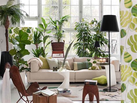 Decorate Living Room With Indoor Plants Baci Living Room