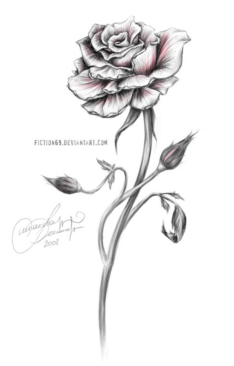 Single Rose Sketch At Explore Collection Of Single