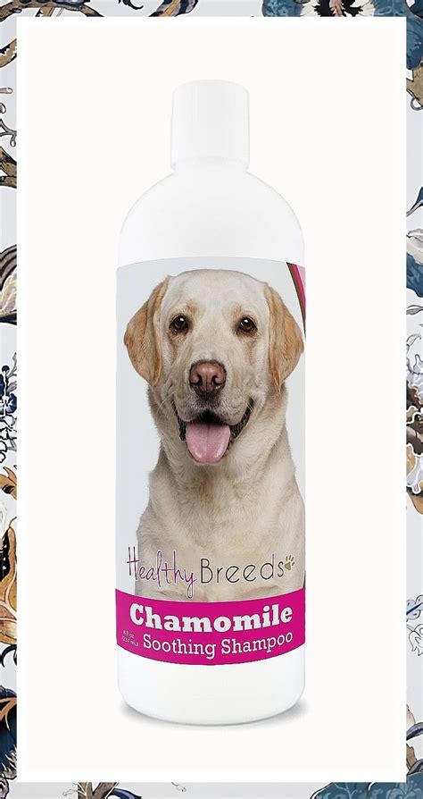 Healthy Breeds Chamomile Conditioner Retriever In 2021 Dog Shampoo