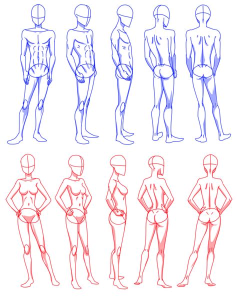 Anime Body Sketch At Explore