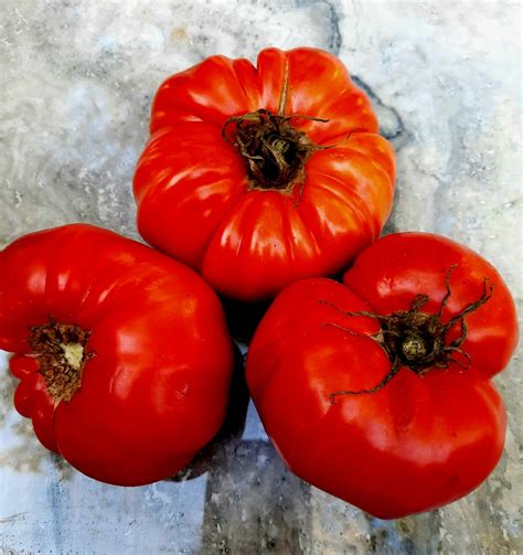 Heirloom Delicious Tomato Seeds South Ga Seed Co