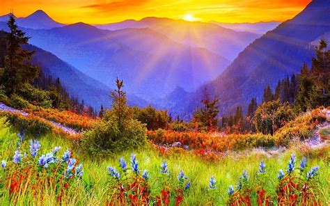 Spectacular Mountain Sunrise Mountains Flowers Sunbeams Sunrise