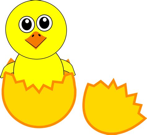 Free Cute Chicken Cliparts Download Free Cute Chicken Cliparts Png