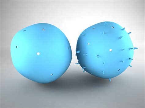 Check spelling or type a new query. Animal Cell 3D Model - 3D Models World