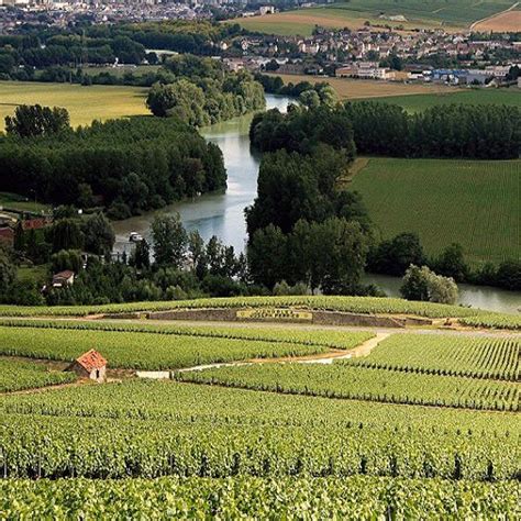 The best wineries + winegrowers. Reims & Champagne Discovery