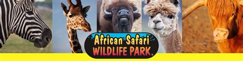 African Safari Wildlife Park In Port Clinton Oh Saveon