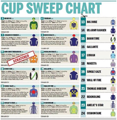 printable melbourne cup sweep 2017 the north west star mt isa qld