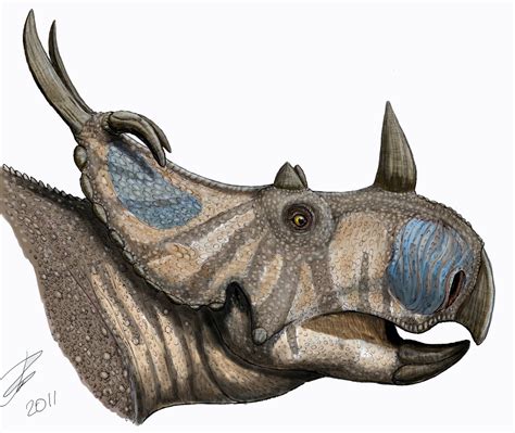 New Horned Dinosaur Announced Nearly A Century After Discovery The