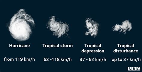 Hurricanes A Guide To The Worlds Deadliest Storms Bbc News