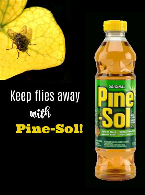 Homemade Fly Repellent With Pine Sol Keep Flies Away With Pine Sol