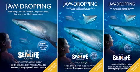 Sea Life Sydney Aquarium Swadlink Brand Design