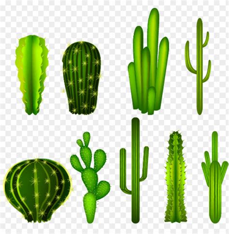 Download 6,239 cactus free vectors. Download High Quality cactus clip art clear background ...