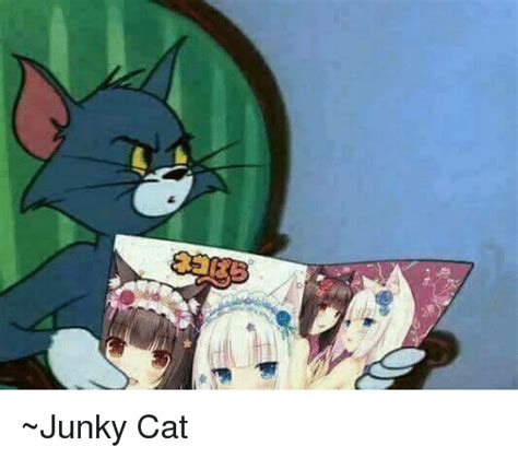 A ~junky Cat Dank Meme On Meme
