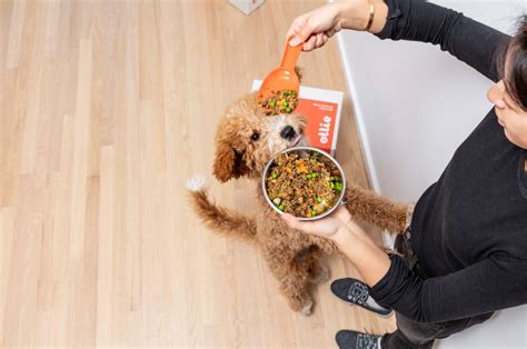 To support healthy growth and the healthy remember to consider your pup's activity levels as well when determining how much food to give her. How Much Wet Food To Feed A Dog?