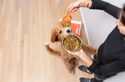 Since the food containers are 10 oz, it means there is enough for 5 servings. How Much Wet Food To Feed A Dog?
