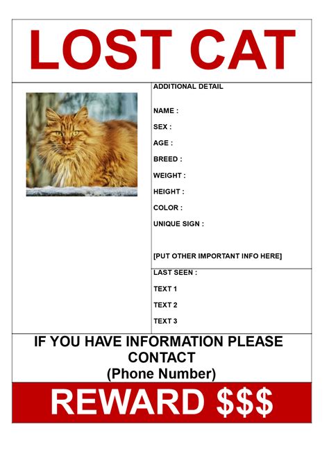 Printable Lost Cat Poster Template Printable World Holiday