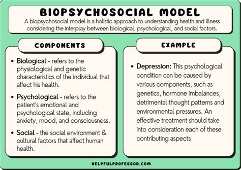 Biopsychosocial Model Examples Overview Criticisms The Best Porn Website