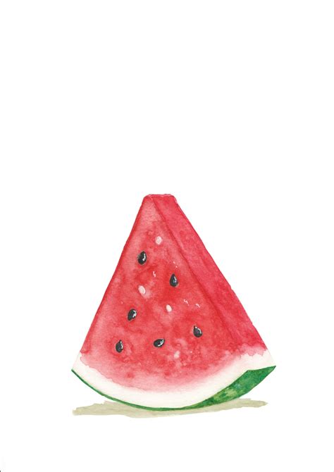 Watermelon Watercolor Painting Painting Art Painting Art
