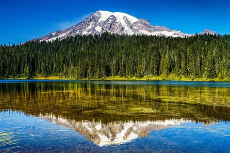 Mt Rainier at Reflection Lakes Photograph by Angie Vogel
