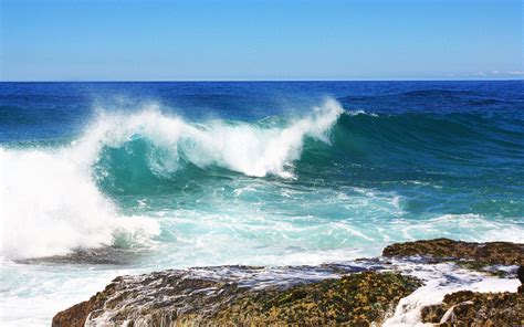 Blue Sea Waves | Wild Life Adventures