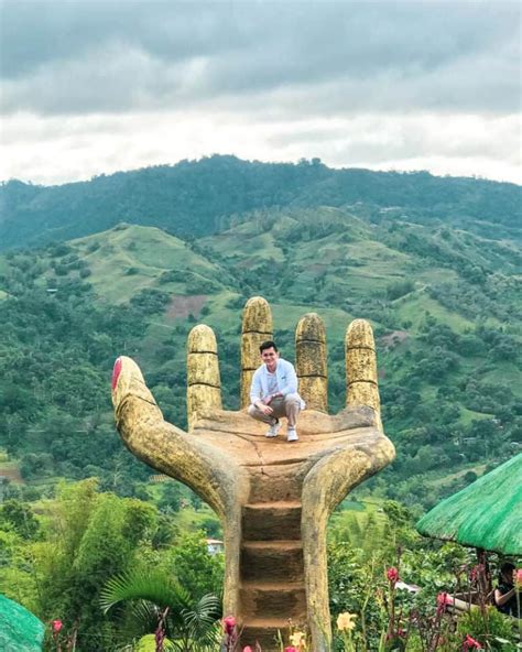Check spelling or type a new query. The NEW Sirao Flower Gardens in Cebu City | Sirao flower ...