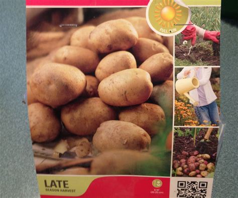 Maybe you would like to learn more about one of these? Grow Potatoes in a 5 Gallon Bucket | Organic vegetables ...