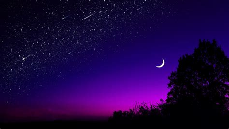 Moon Tree Starry Sky Night Stars Dark