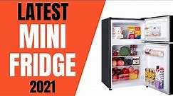 Top 10 Best Mini Fridge with Freezer 2022