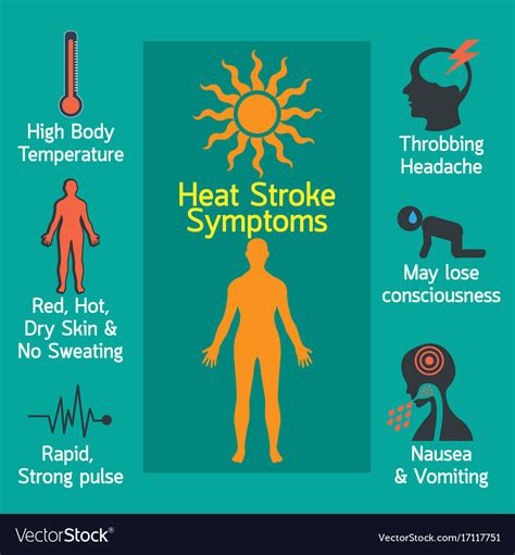 Heat Stroke Signs Symptoms And Prevention Survival Life
