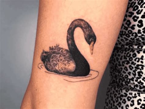 The Elegance Swan Tattoo Meaning And Designs