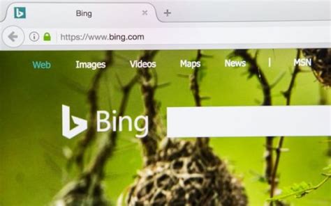 Bing Unveils Custom Audiences Targeting