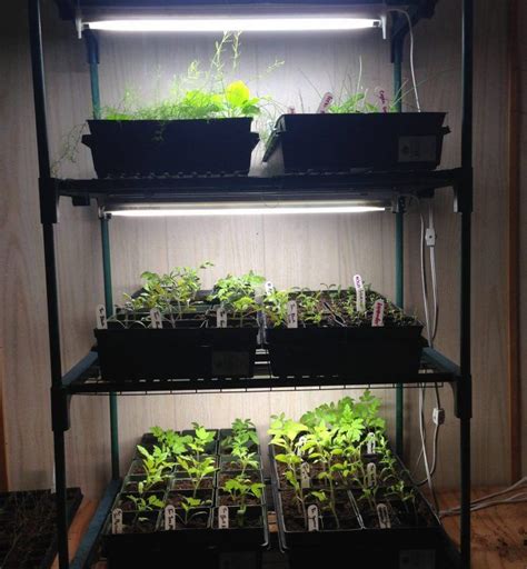 Indoor gardening grow light set up #gardenshedkits | Indoor greenhouse