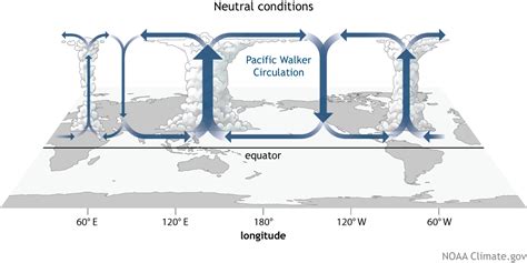 The Walker Circulation Ensos Atmospheric Buddy Noaa