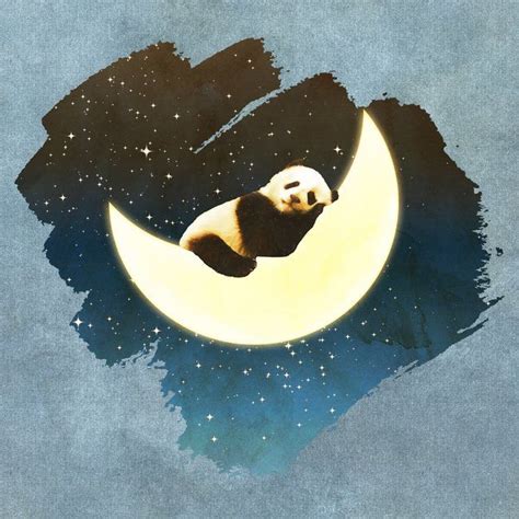 Sleeping Panda On The Moon Art Print By Octavia Soldani Moon Art