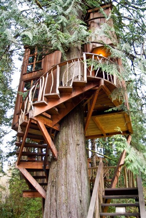 The Most Epic Treehouses From Around The World Beautiful Tree Houses