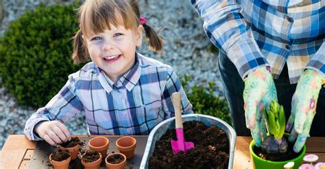 Qué Plantas Pueden Plantar Los Niños