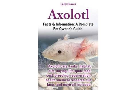 Buy Axolotl Axolotl Care Tanks Habitat Diet Buying Life Span