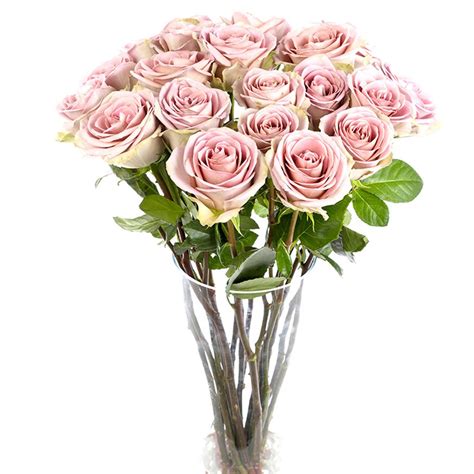 Amnesia Roses Long Stemmed Flowers By Flourish