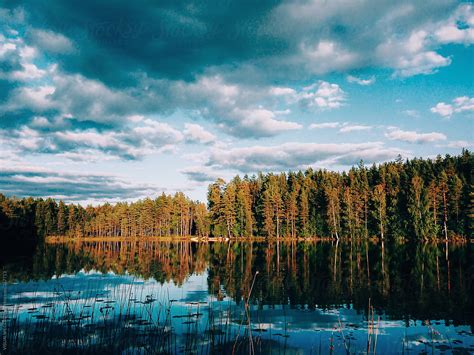 Sunset In Scandinavian Forest By Lake By Stocksy Contributor