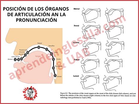Tabla FonÉtica Del Inglés En Pdf Gratis Phonemic Chart