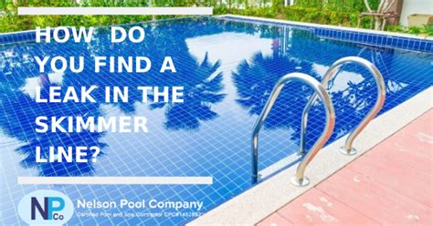 Sometimes pool owners mistake normal evaporation for a leak in the liner. Nelson Pool Company: How Do You Find A Leak In the Skimmer ...