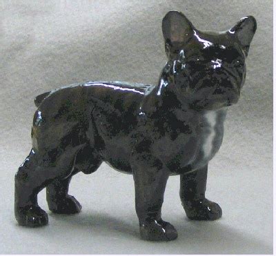 The breed is the result of a cross between toy bulldogs imported from england. French Bulldog - RonHevener.com